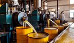 Exploring the Basics of Oil Extraction Machines